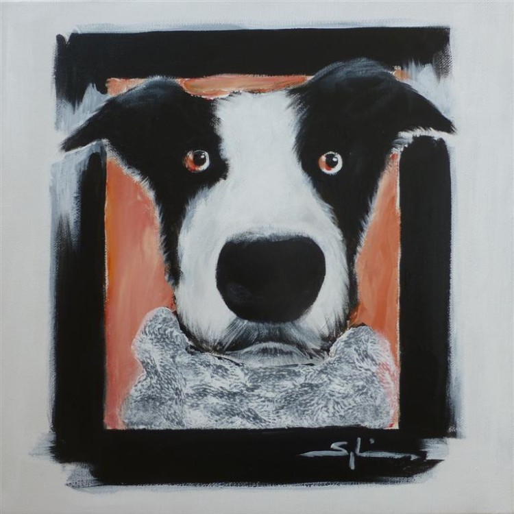 Tabl_BorderCollie